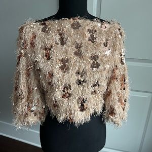 Zara Pink/Gold Sequin & Fringe Top